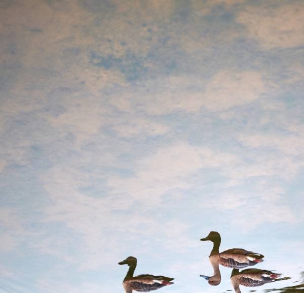 Photograph Ivan Joshua Loh Quack on One Eyeland